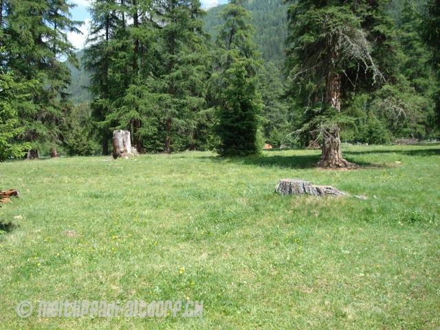 DSC00660.jpg