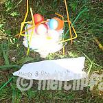 sola10-243.jpg